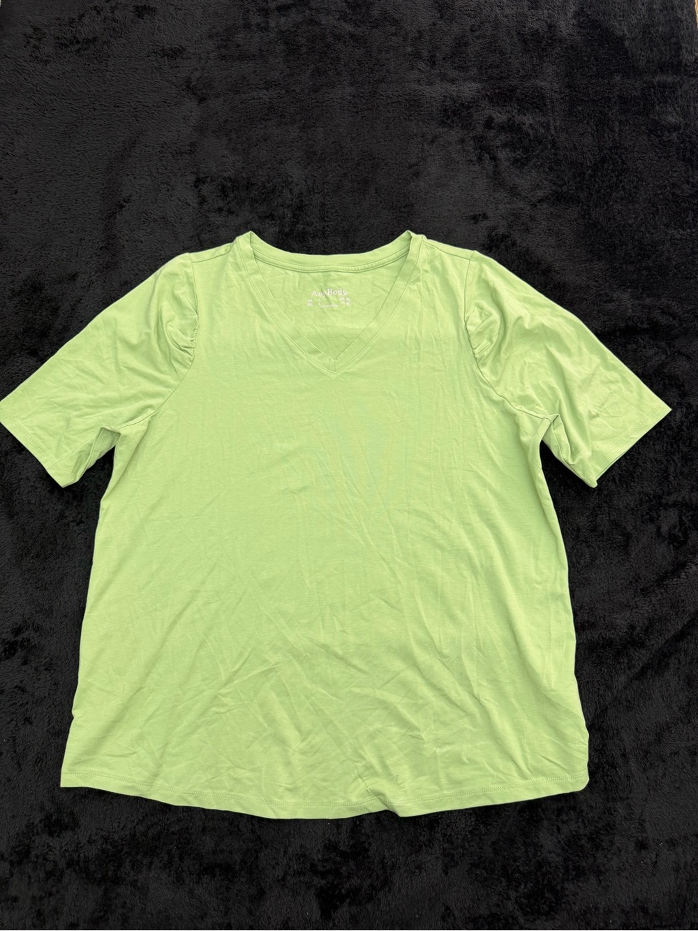 AnyBody V-Neck Tee Size L Light Green Short Sleeve Shirt